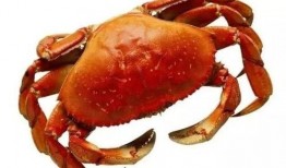 嘉兴蟹居爆料事件视频最新,揭开背后惊人真相，网友热议不断